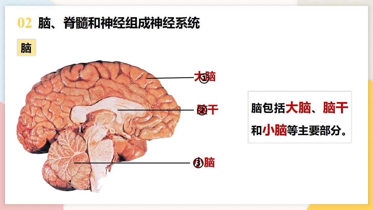 17773201第7页