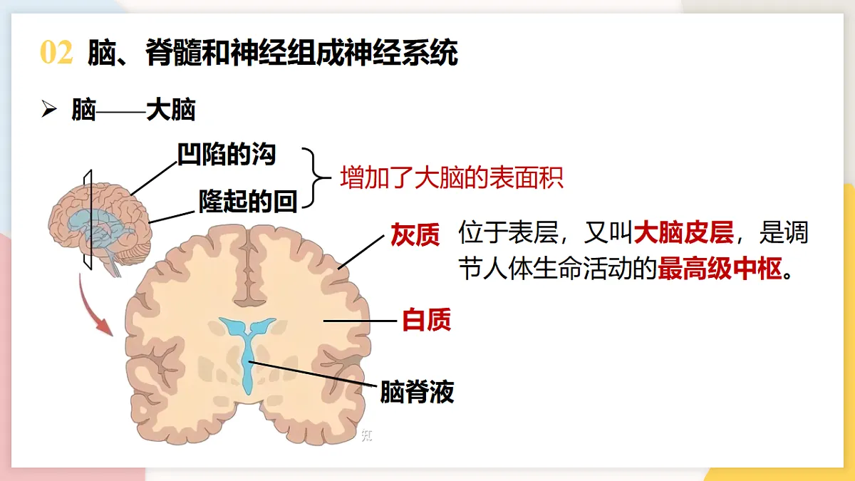 17773201第8页