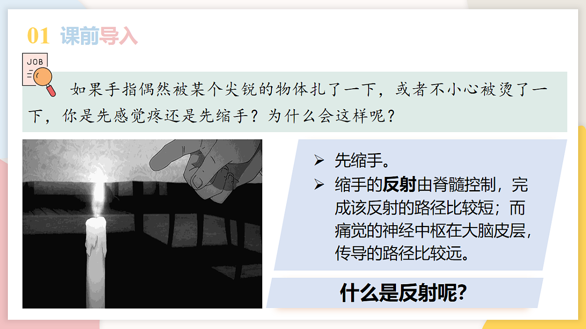 17773202第3页