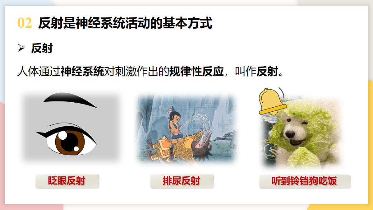 17773202第4页