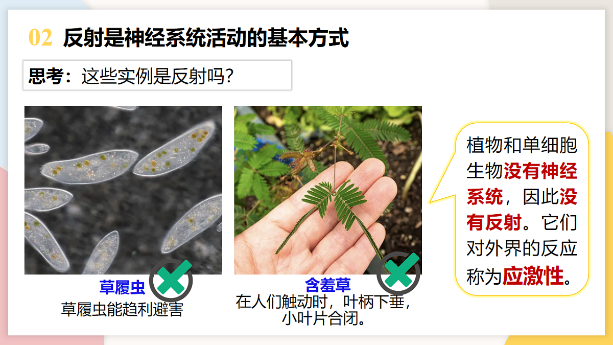 17773202第5页