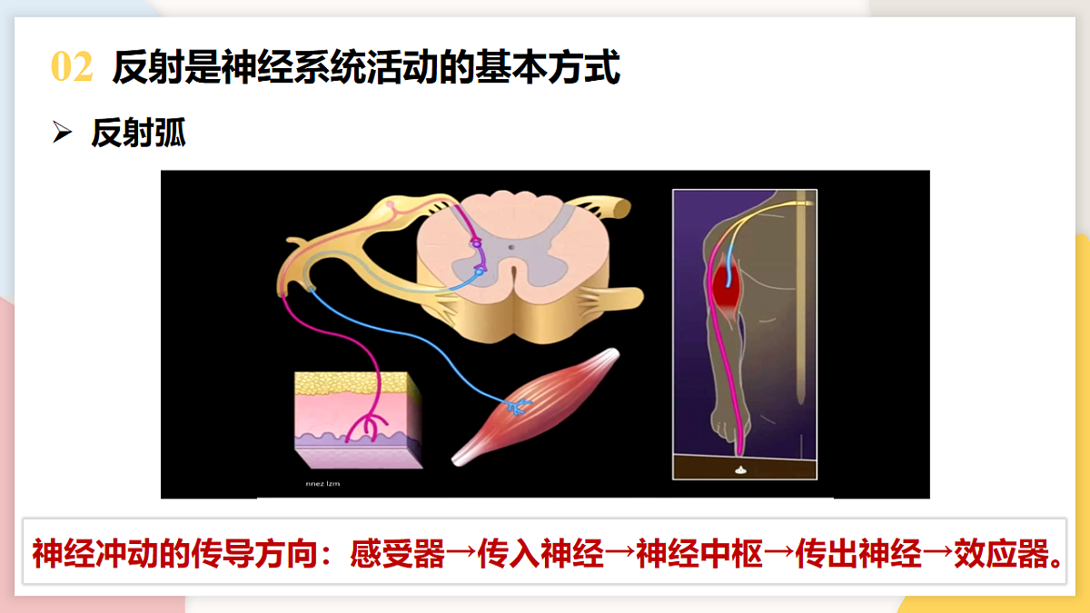 17773202第7页