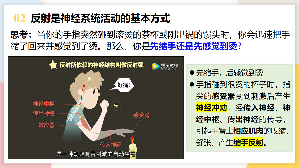 17773202第8页