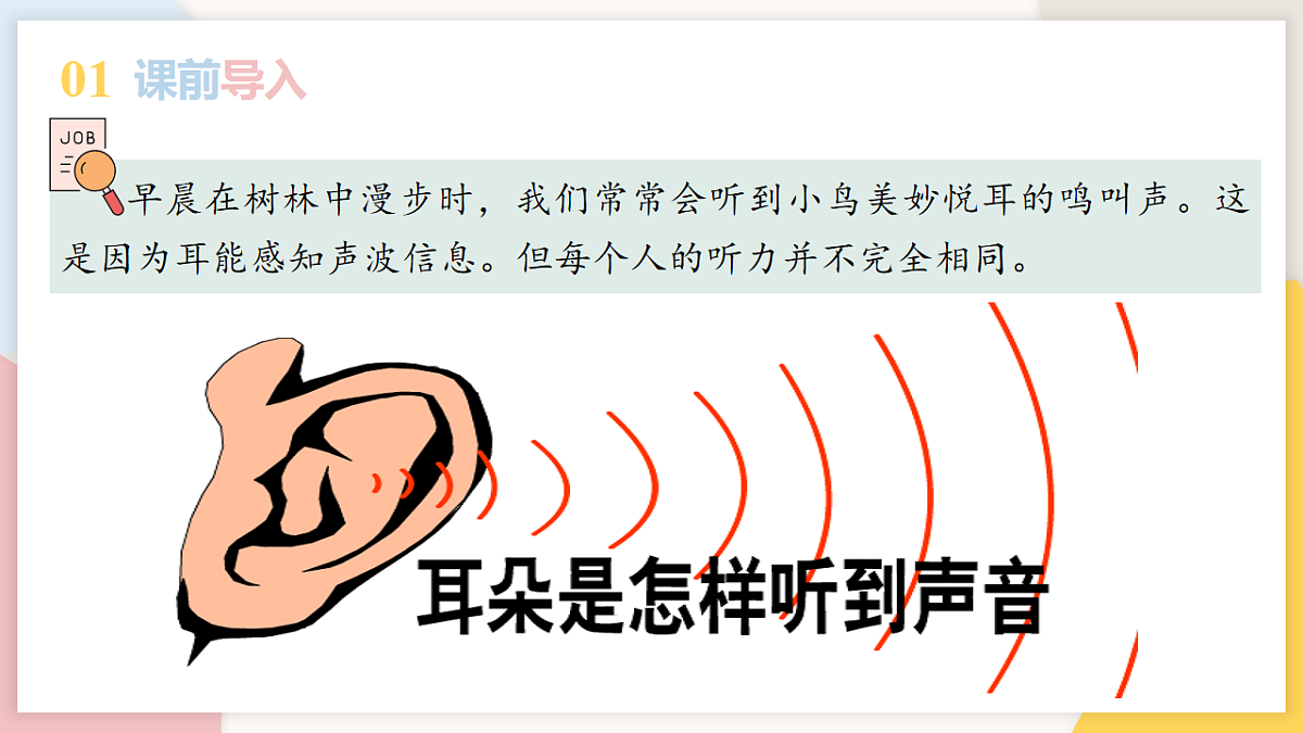 17773204第3页