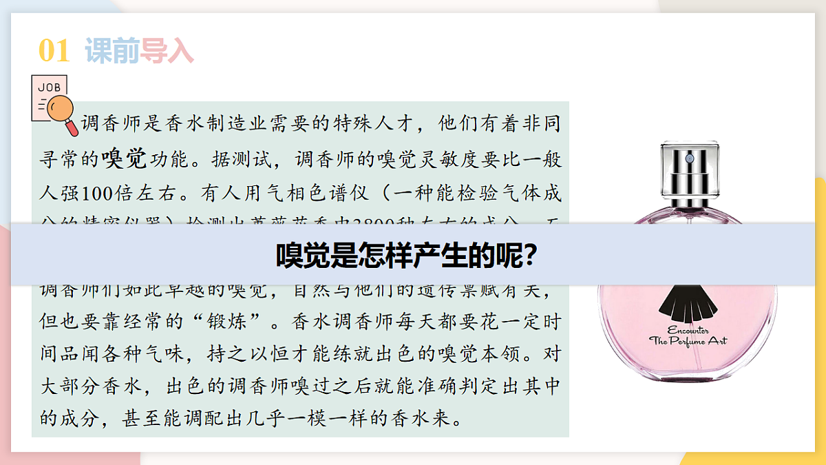 17773205第3页