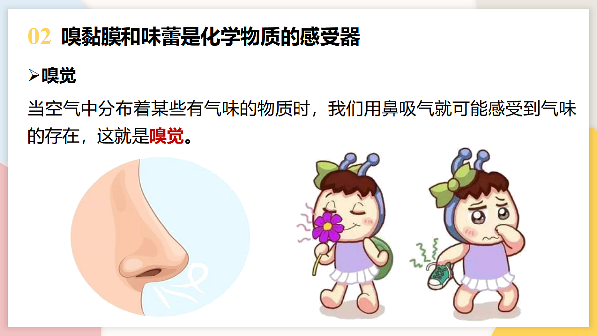 17773205第4页