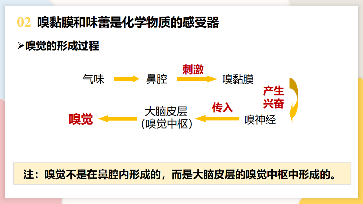 17773205第6页