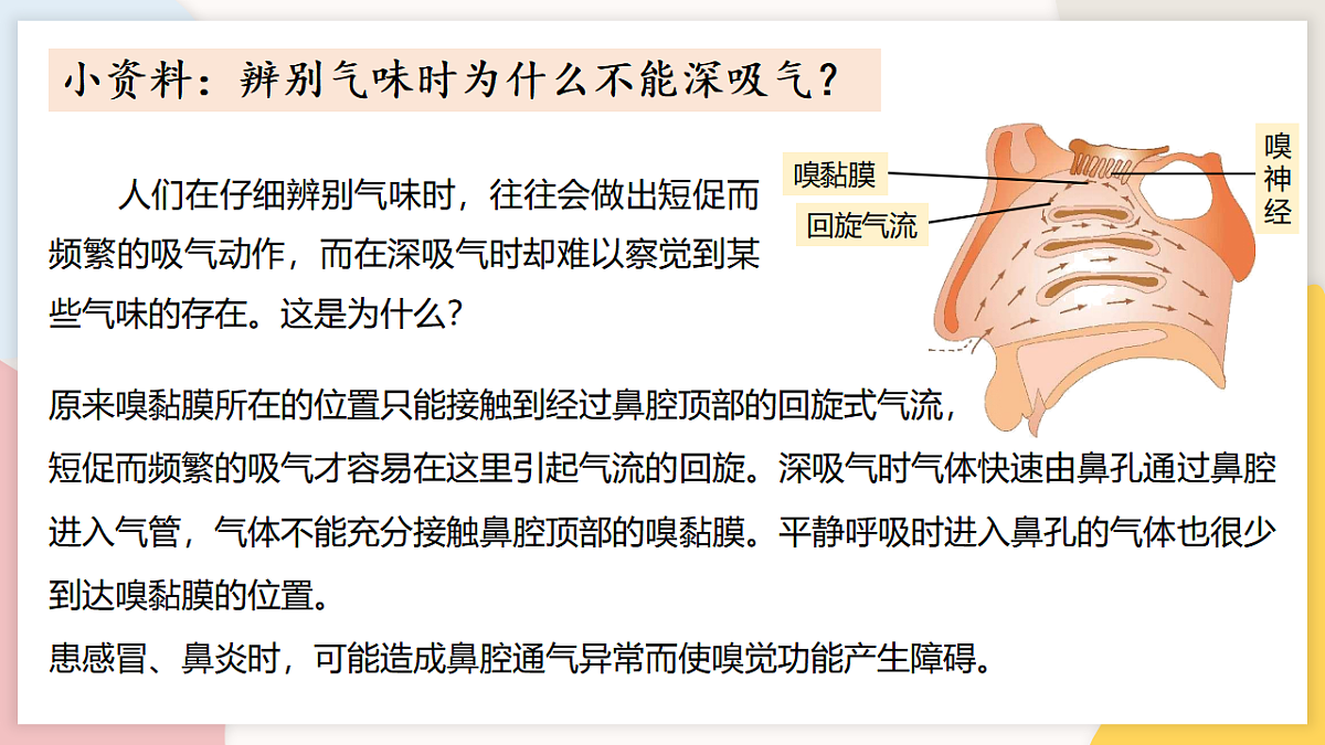 17773205第8页