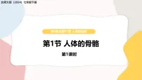 初中生物北师大版（2024）七年级下册（2024）人体的骨骼教学ppt课件
