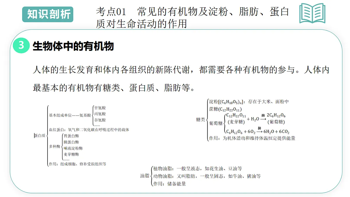 17775626第7页