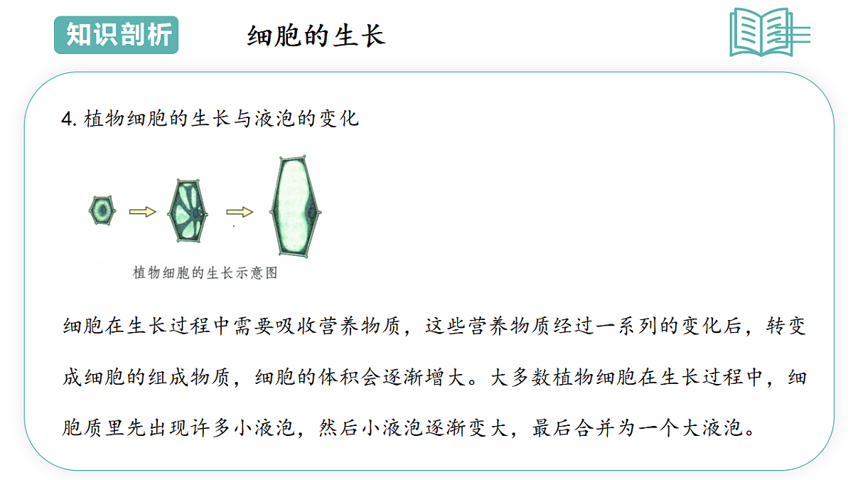 17775647第4页