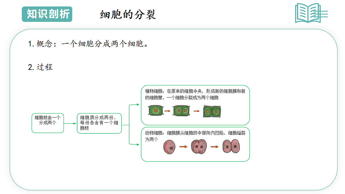 17775647第5页