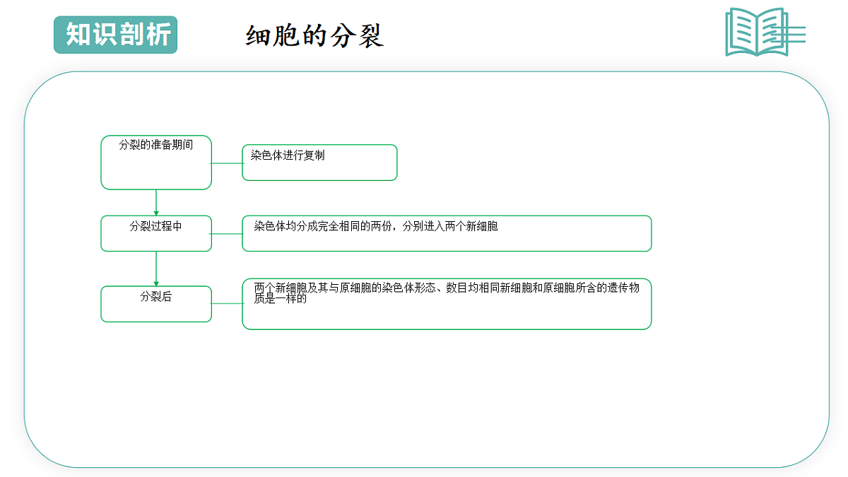 17775647第7页