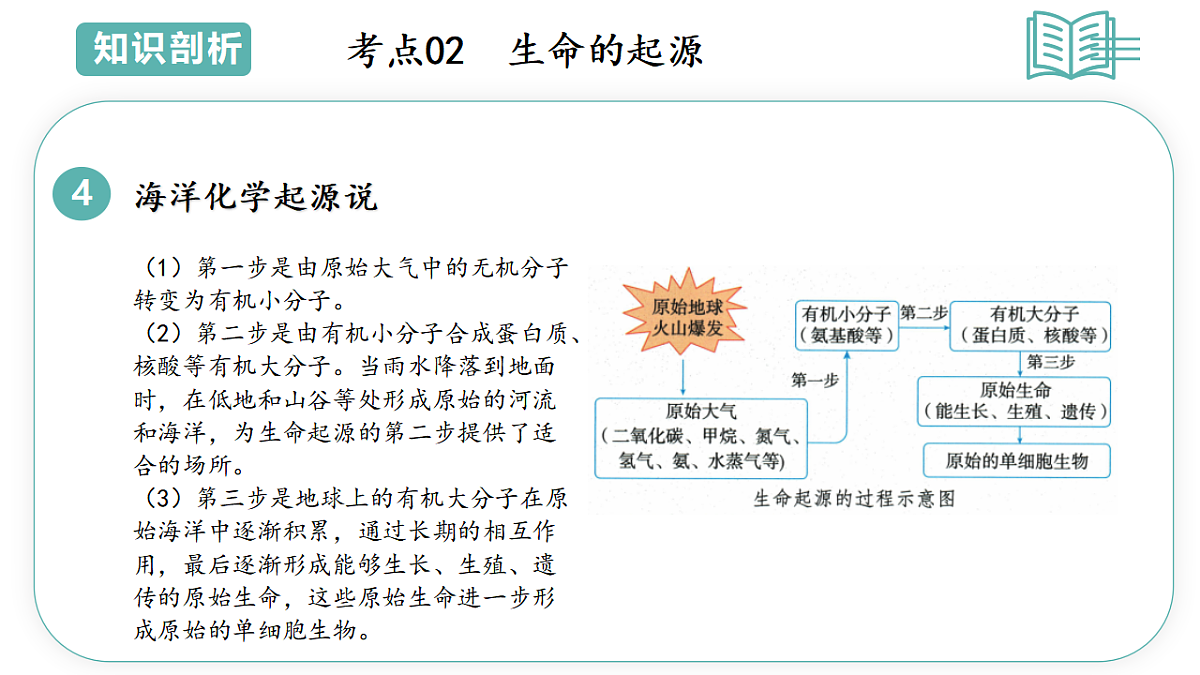 17775649第8页