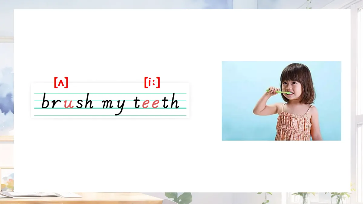 17775769第5页