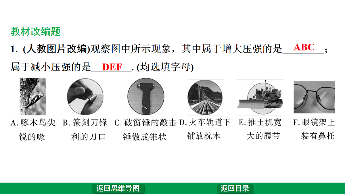 17775841第6页