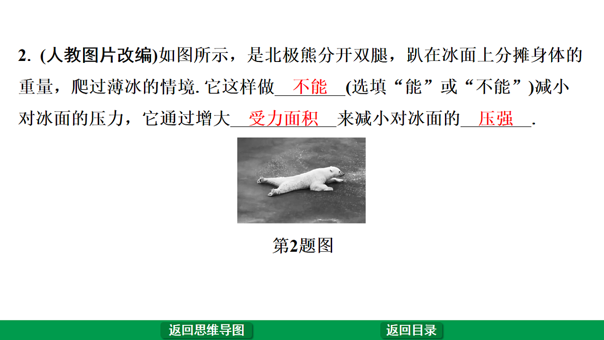 17775841第7页