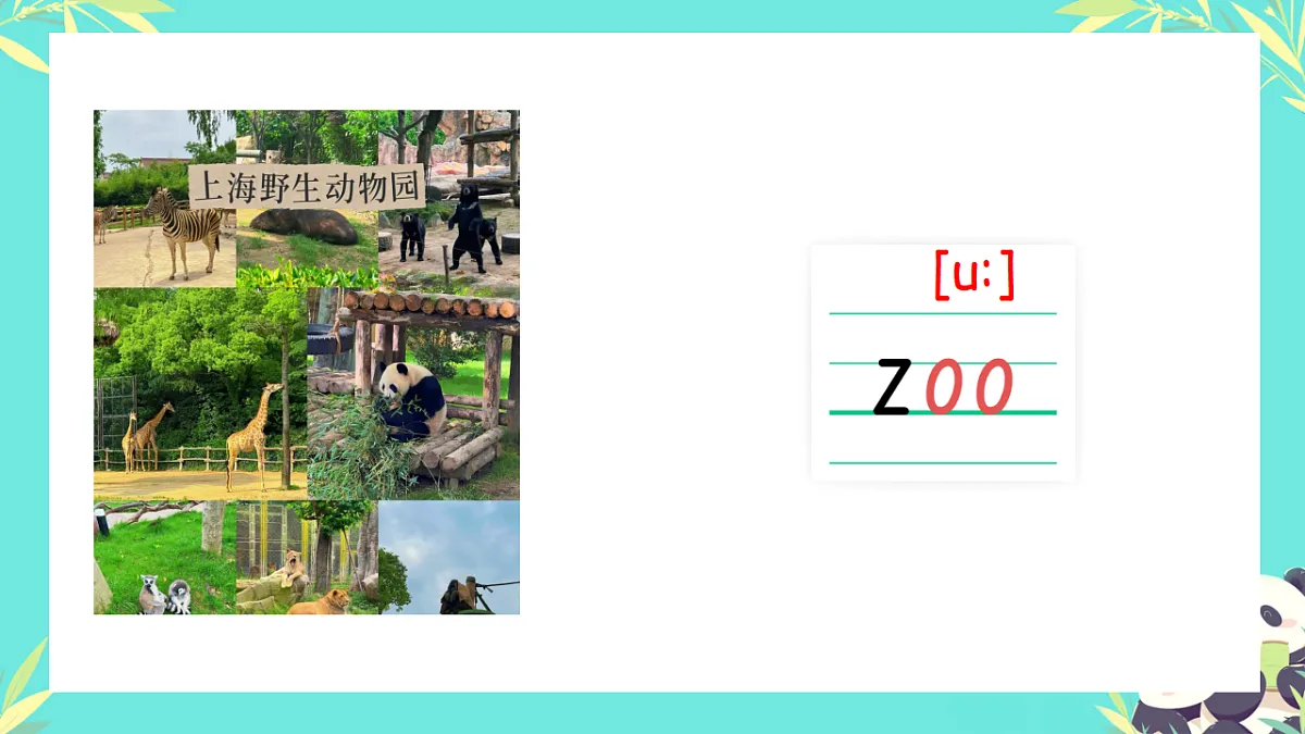 17775948第6页