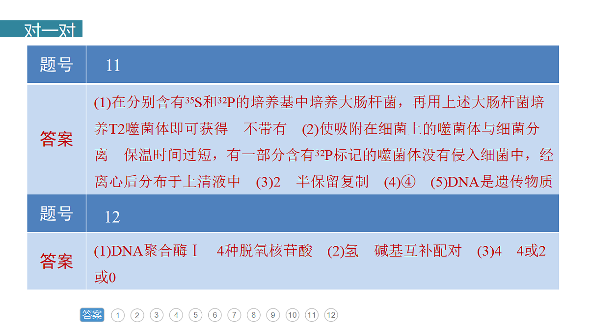 17776006第3页