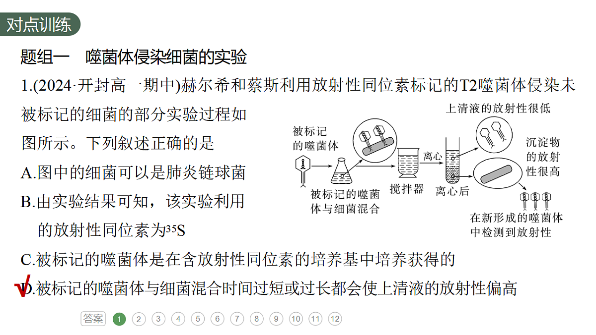 17776006第4页