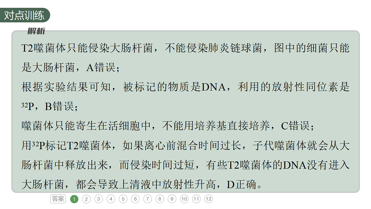 17776006第5页