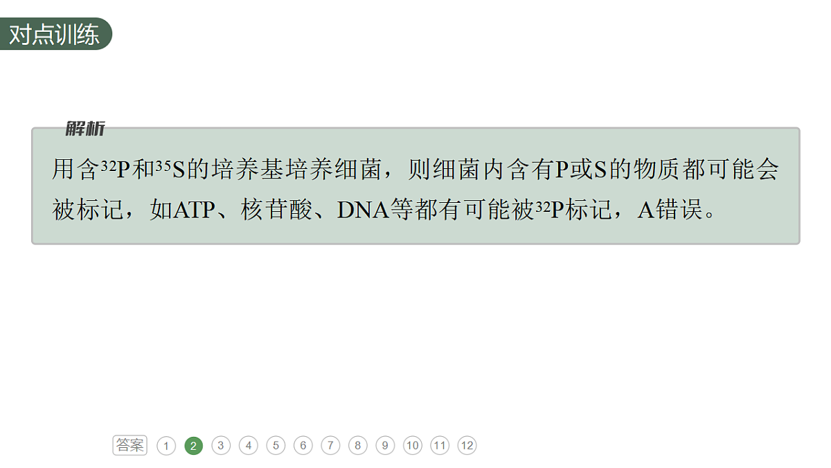 17776006第7页