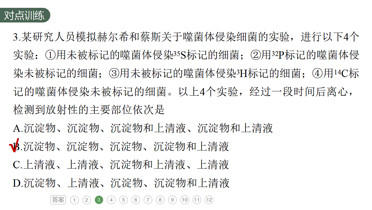 17776006第8页