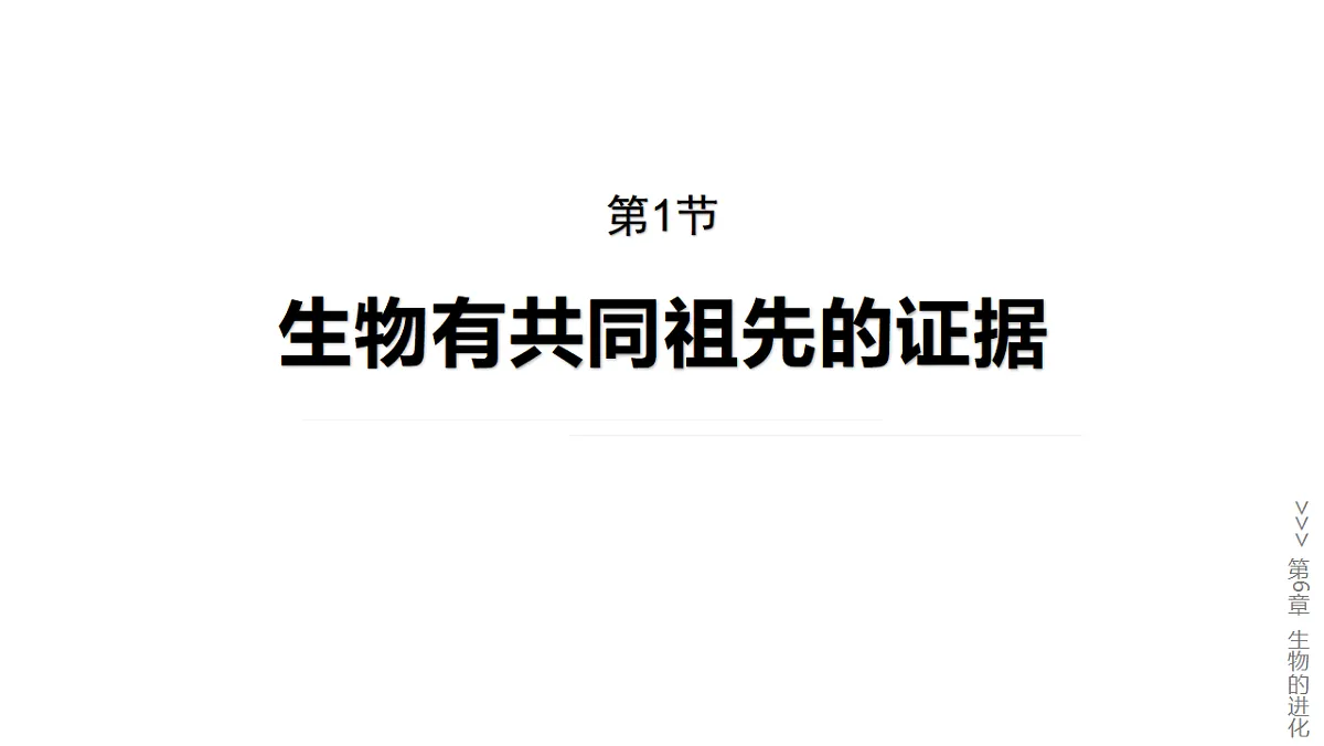 17776010第1页