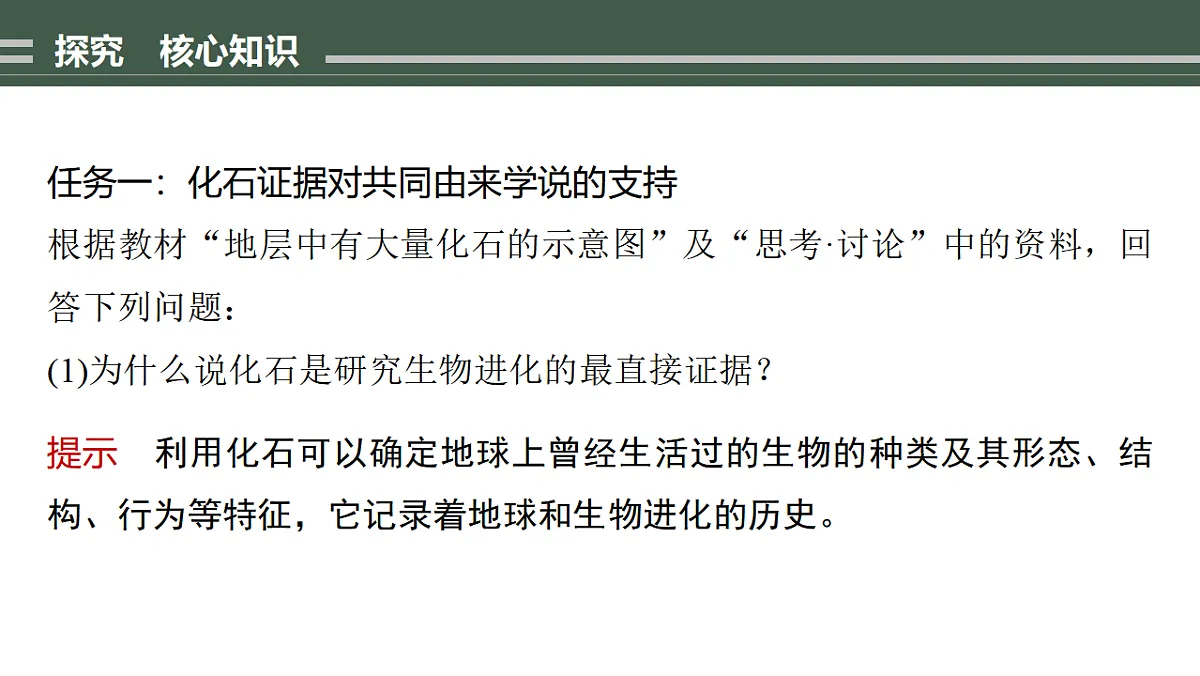 17776010第5页