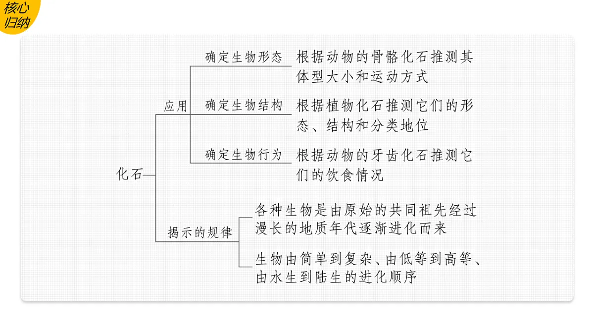 17776010第8页