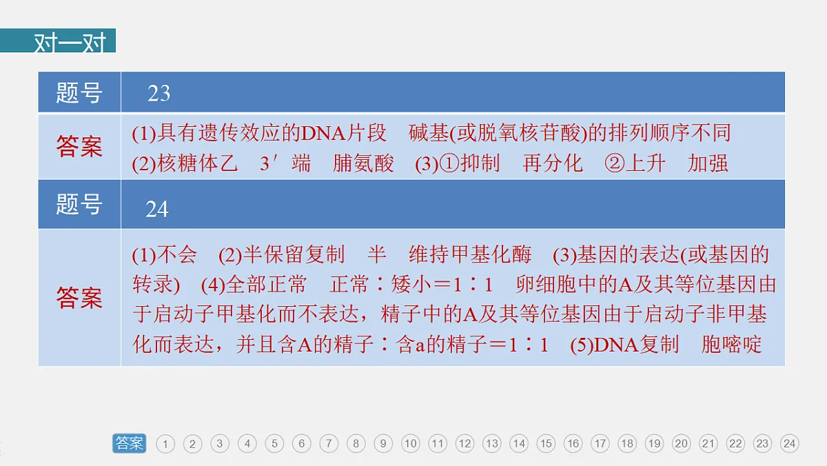 17776015第4页
