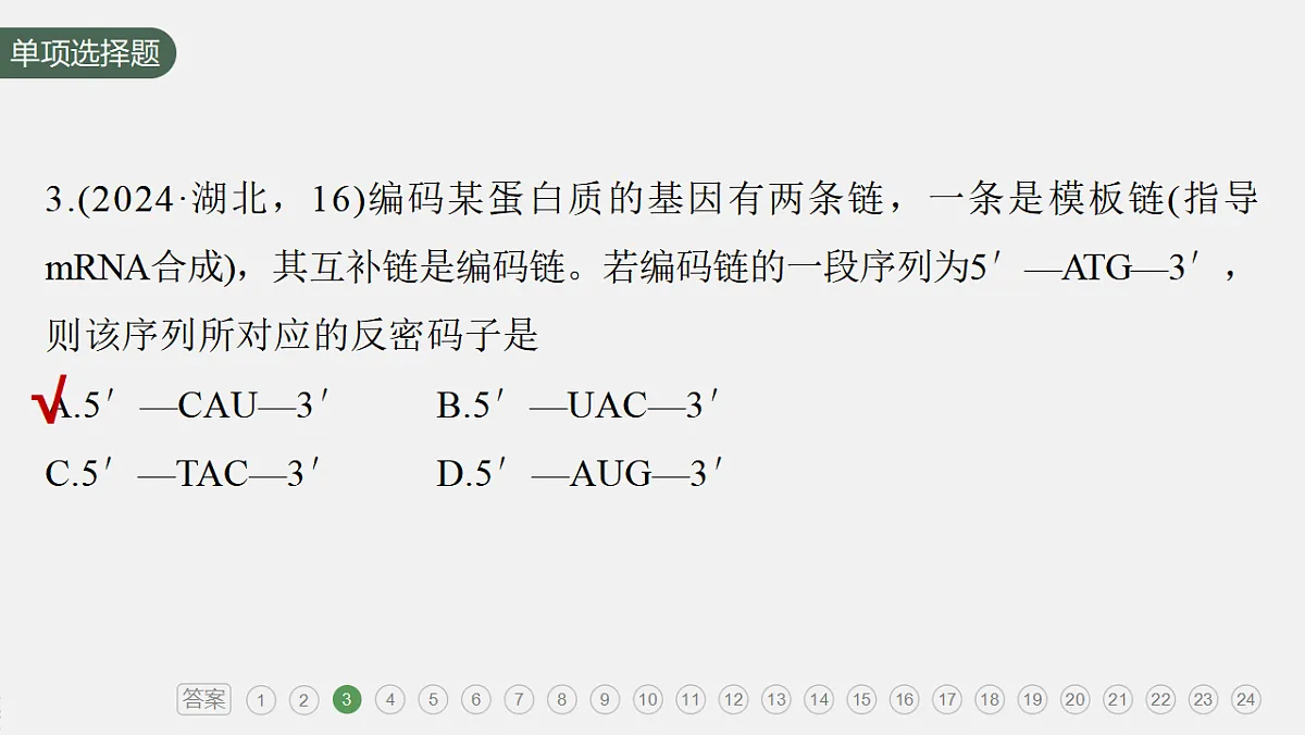 17776015第7页