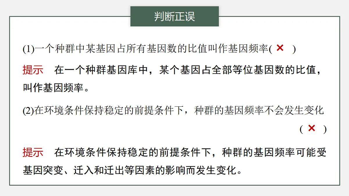 17776355第4页