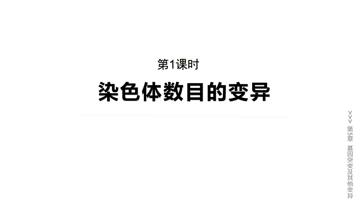17776361第1页