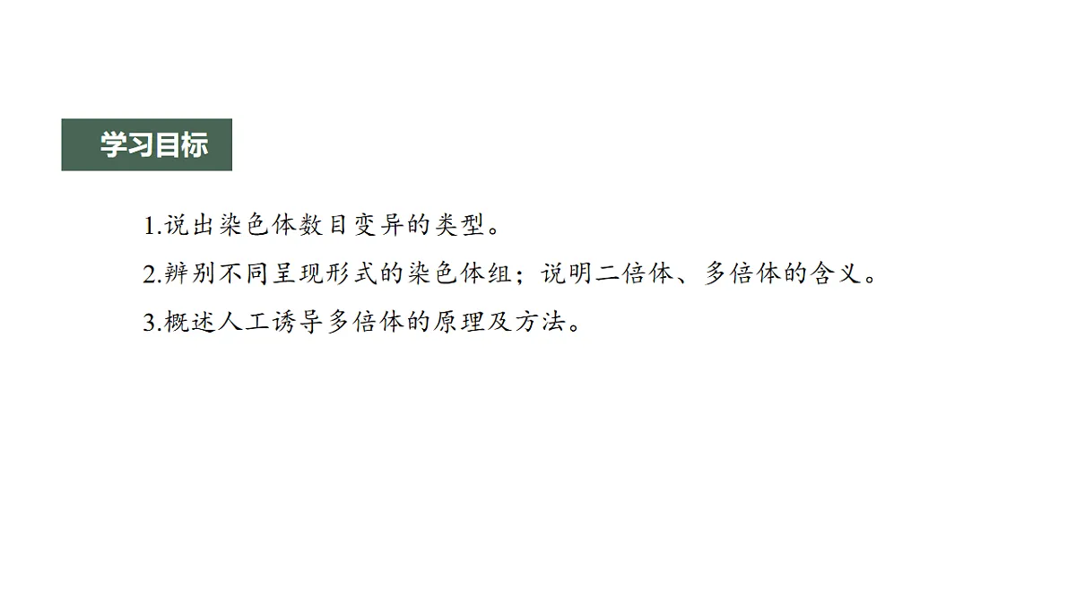 17776361第2页