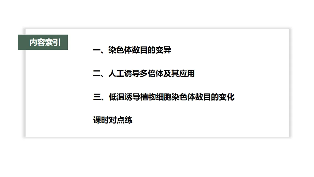 17776361第3页