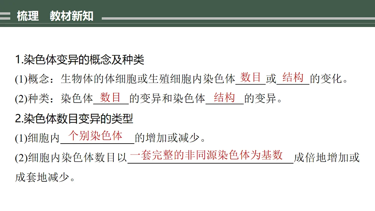17776361第4页
