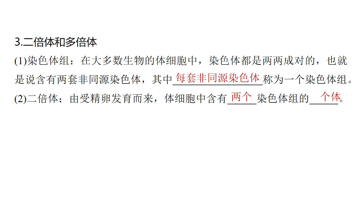 17776361第5页