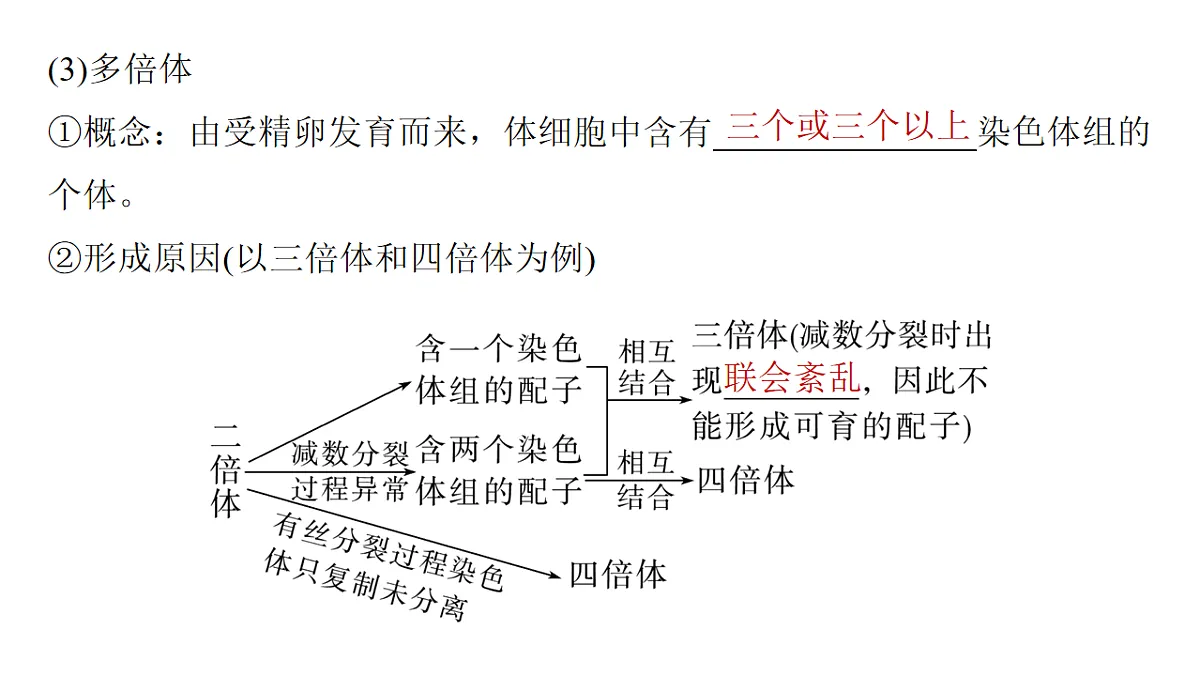 17776361第6页