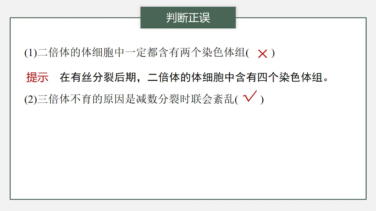 17776361第8页