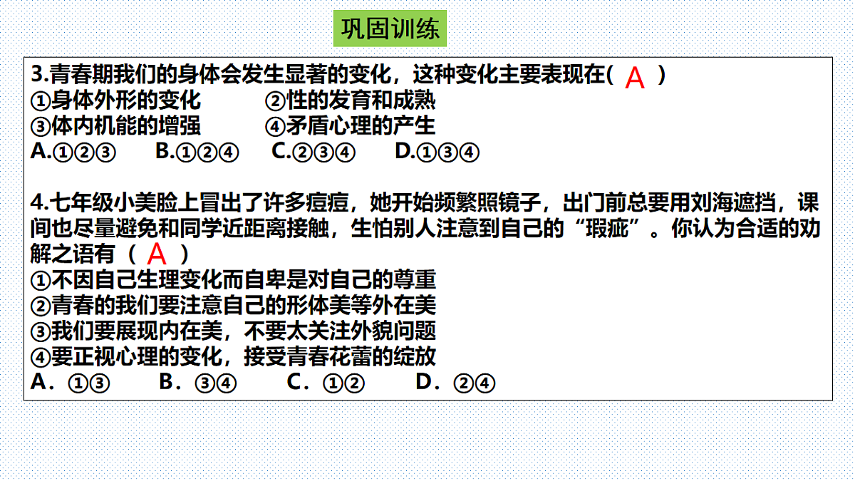 17776397第4页