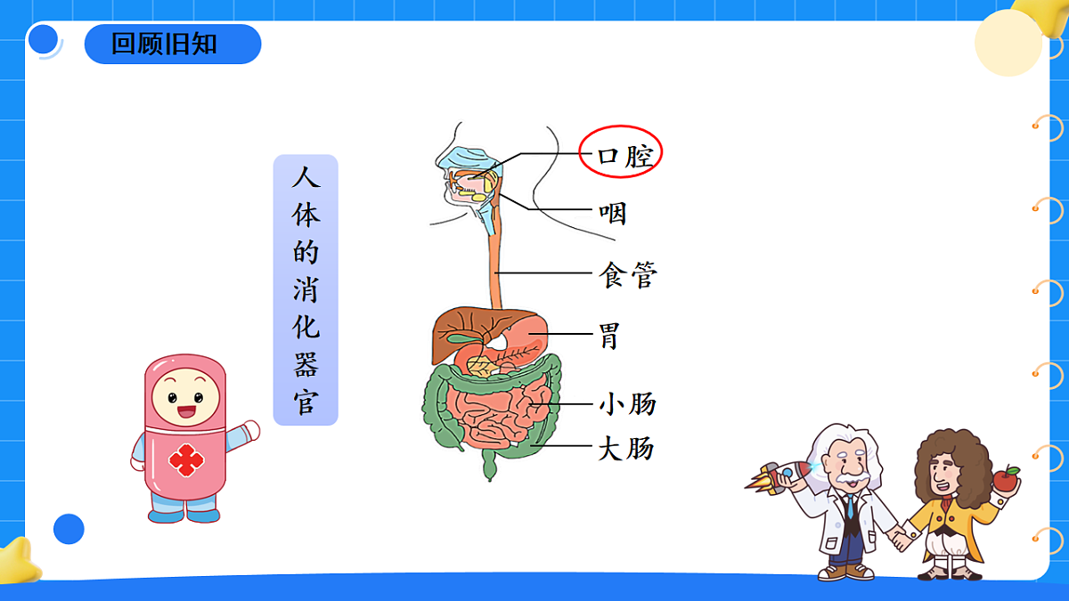 17776604第2页