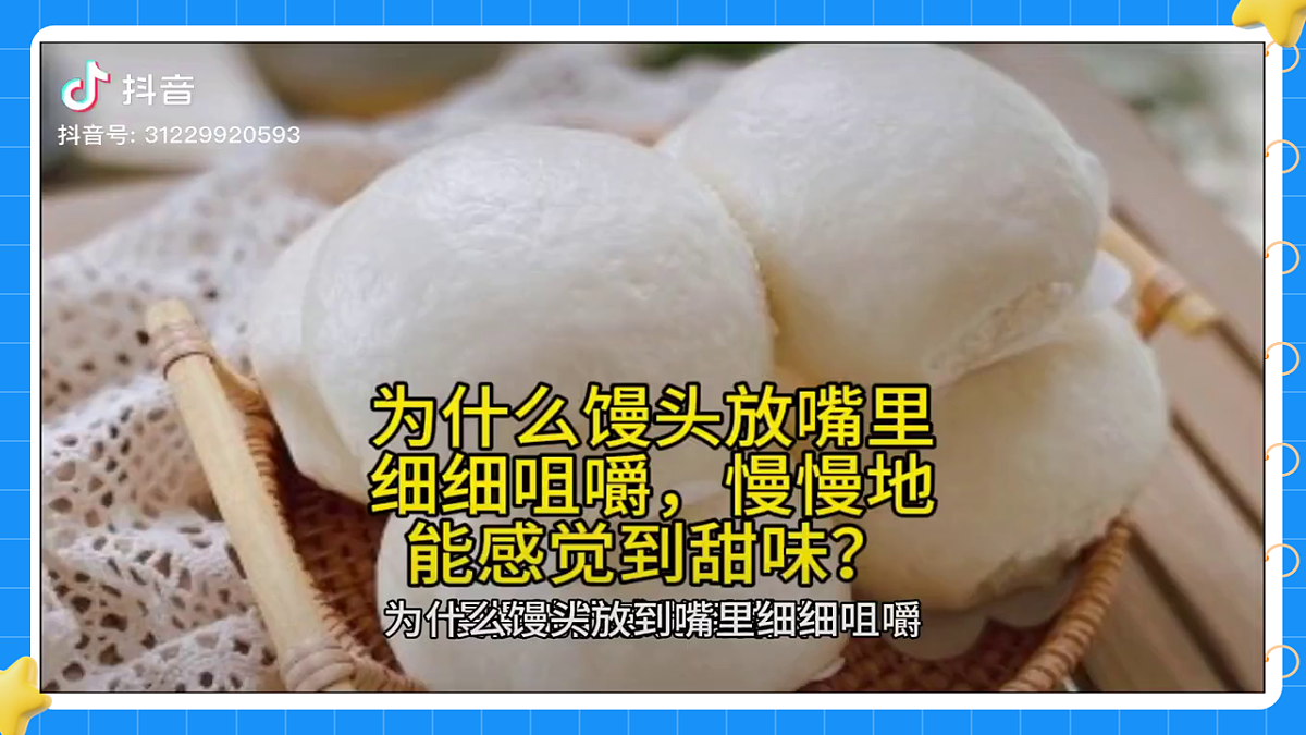 17776604第5页