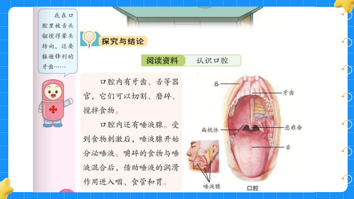 17776604第7页