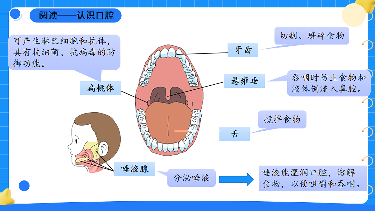 17776604第8页