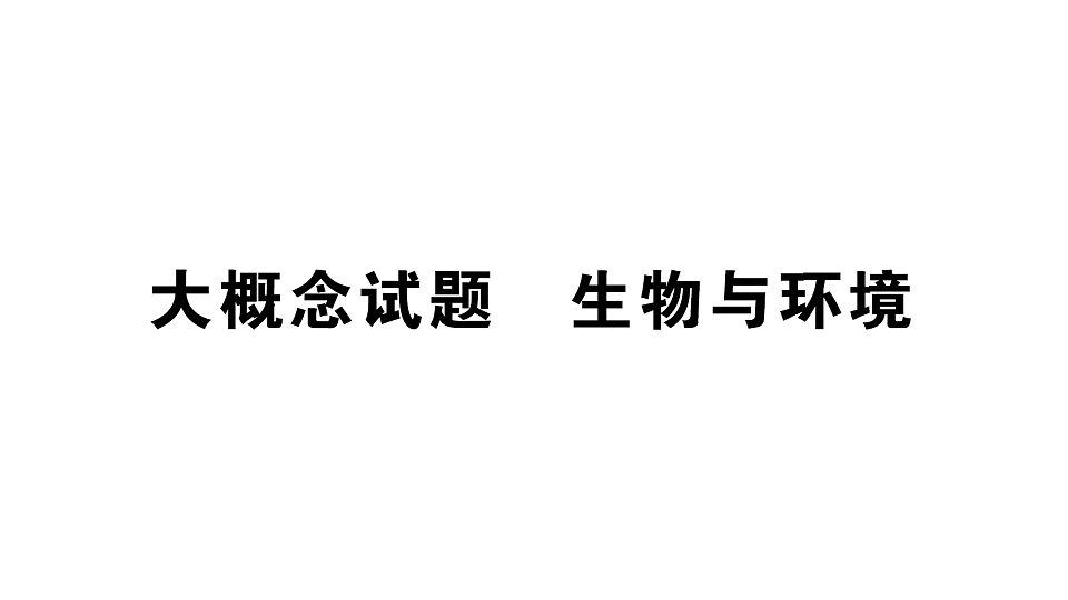 17776841第1页