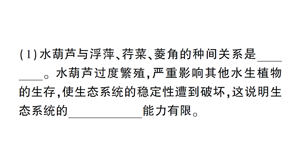 17776841第3页