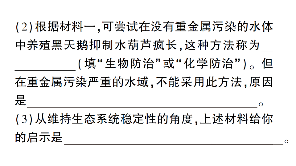 17776841第4页