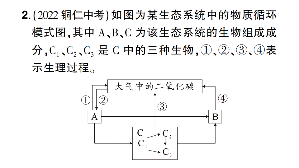 17776841第5页