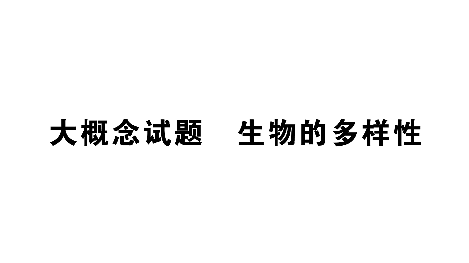 17776845第1页